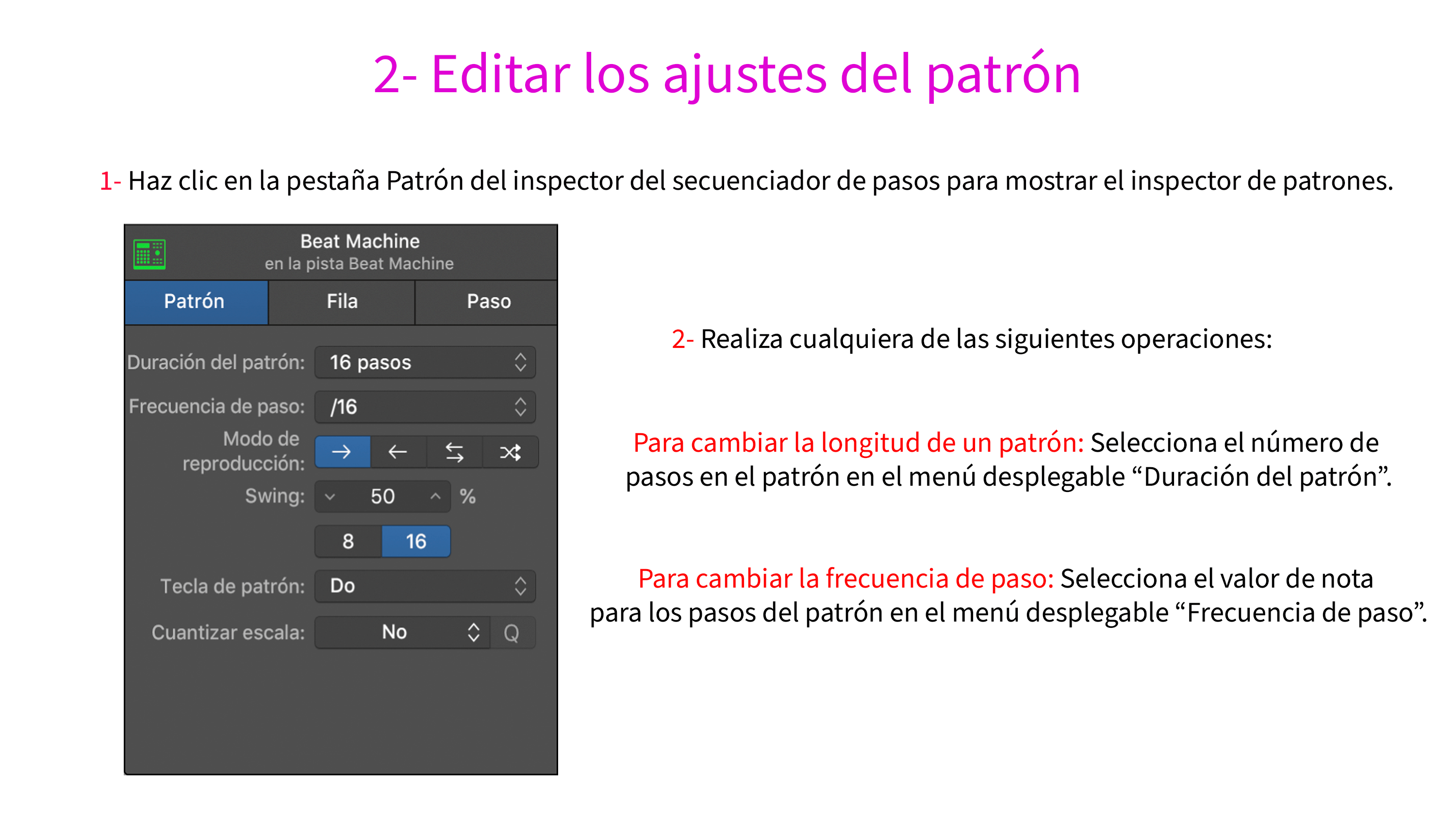 2- Editar los ajustes del patrón