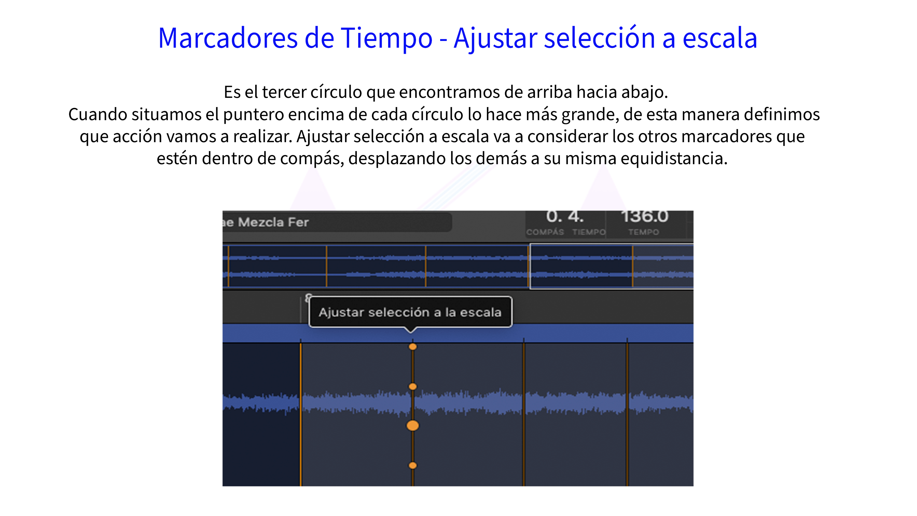 Marcadores de Tiempo - Ajustar selección a escala