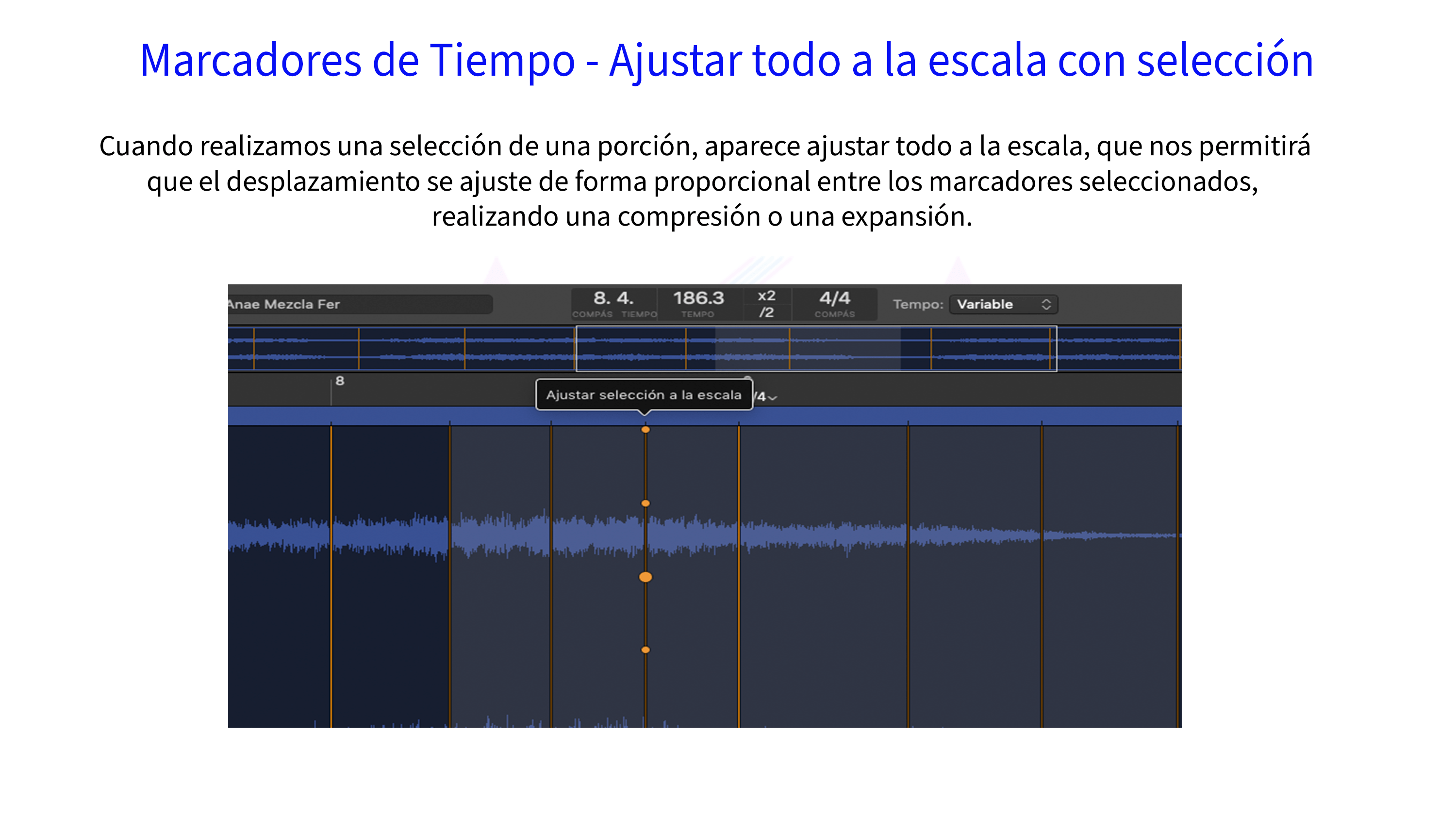 Marcadores de Tiempo - Ajustar todo a la escala con selección