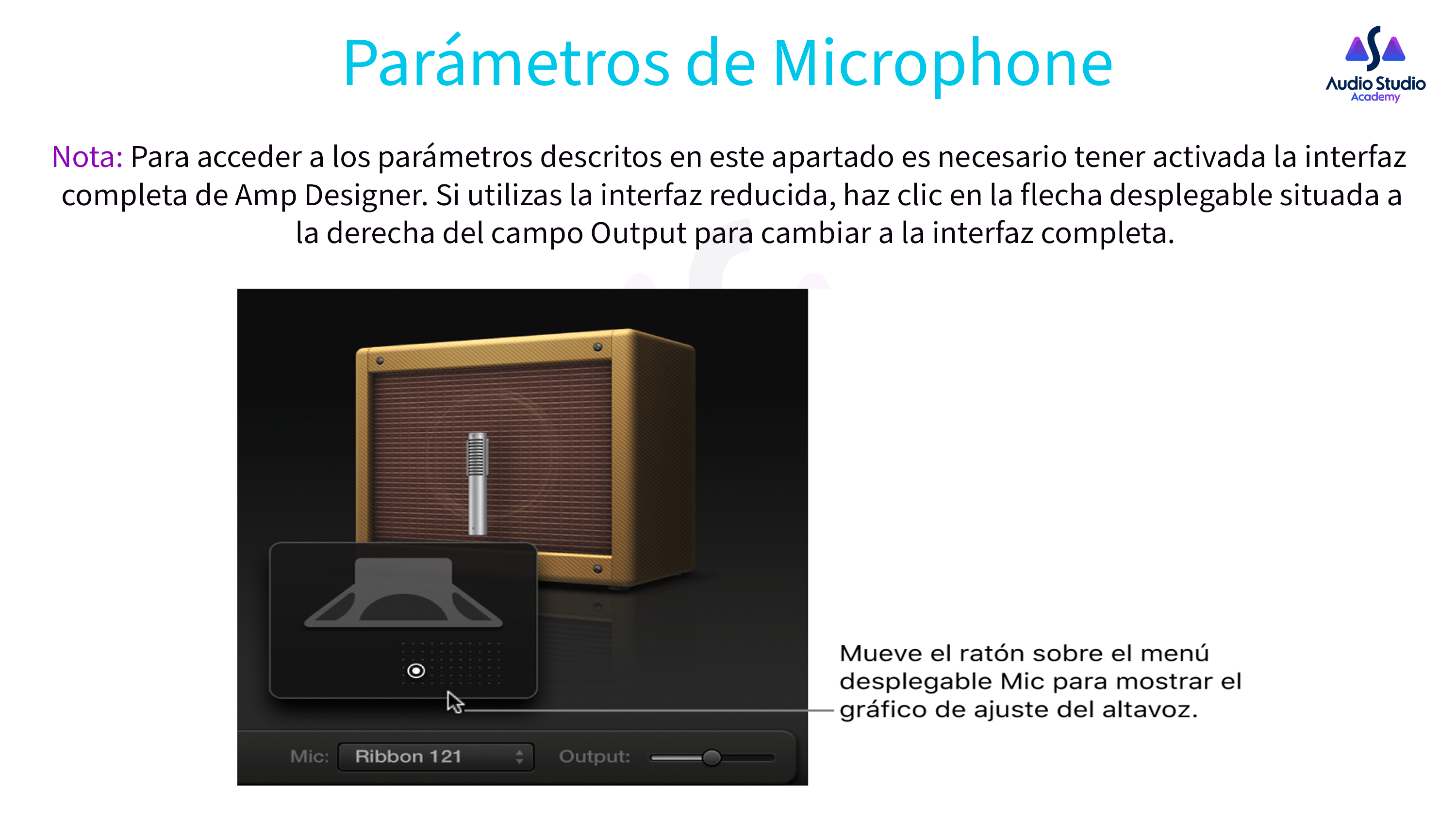 Parámetros de Microphone 02